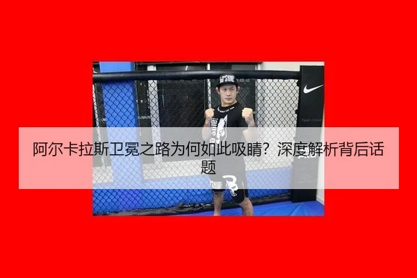 a-er-ka-la-si-wei-mian-zhi-lu-wei-he-ru-ci-xi-jing-shen-du-jie-xi-bei-hou-hua-ti-2-841.jpg